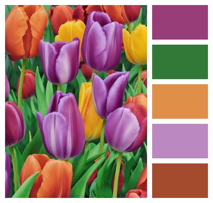 Colored Tulips Ai Generated Tulips Image